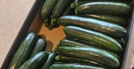 Mam na sprzedaż cukinie odmiany Rhodos Zefiros Cora. Market