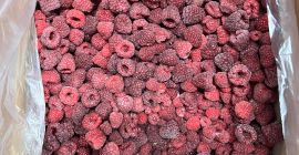Malina 95/5 - mrożona, 10 kg, karton pakowany Malina