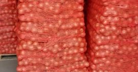 We have 22 tons of yellow onions available for