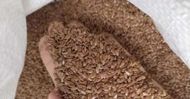 Sprzedajemy len brązowy. 1000 ton. Pakowane w big-bagi. Miejsce: