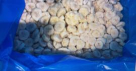 Banan 2200 kartonów po 10 kg bananów mrożonych organicznych