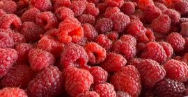 Na sprzedaż: Maliny Extra 95/5, 90/10, porzeczki czarne podwójnie