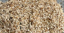 Sezam niełuskany - świeży, czysty , hurt Wysoka jakość,