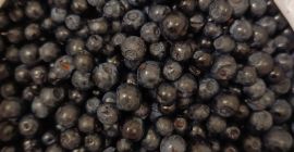 Świeże borówki. 150 CZK za kilogram. Przyjmujemy zamówienia. Lokalizacja: