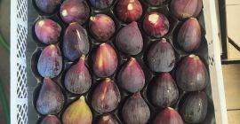 Vendo higos naturales confeccionados y refrigerados. Si está interesado,