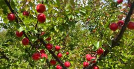 Skontaktuj się z nami, aby uzyskać więcej szczegółów.