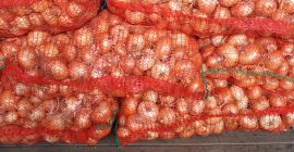 Sprzedam cebulę podwiązkową pakowaną w worki po 25 kg