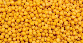 Sprzedam groszek ekologiczny, wszelkie informacje pod numerem telefonu +[telefon]