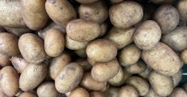 Sprzedam: Cebulę, Marchew, Pasternak, Ziemniaki 10kg / big bag