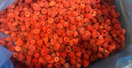 Sprzedam maliny oryginalne, 80/20 oraz kaszę mannę.