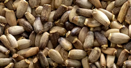 Firma z Ukrainy może dostarczyć mittel