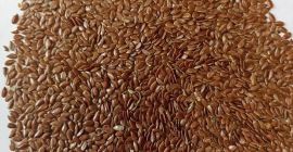 Oferujemy eksport nasion oleistych. Nasza grupa kapitałowa jest gotowa