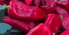 Świeże owoce i warzywa prosto od tureckich producentów –