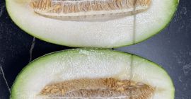 Dzień Dobry Mam do sprzedania melony z Uzbekistanu. Ciągłość