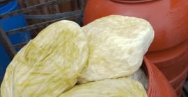 Kapusta płaska 0,40 €/kg Kiszona kapusta płaska 0,80 €/kg