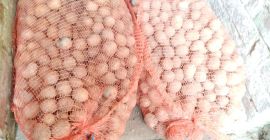 Posiadam na sprzedaż ziemniaki pakowane w worki po 25