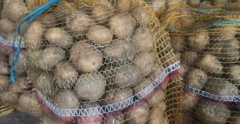 Sprzedam ziemniaki jadalne- odmiana Lord. Więcej informacji pod nr.