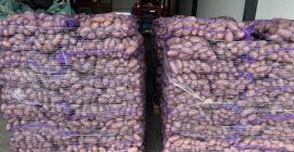 Sprzedam ziemniaki. Ilości Paletowe. Odmiana Gala 45+ Żółty, zdrowy
