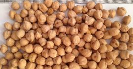 Ciecierzyca, produkowana na Węgrzech. Konwencjonalna. Bezpośrednio od plantatorów.