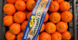 DMD Fruit Srl to firma rodzinna z siedzibą w