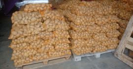 Sprzedam ziemniaki jadalne odmiany Queen Anna z tegorocznych zbiorów.