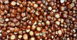 Sprzedam dużą ilość kasztanów z odbiorem z Rudy Śląskiej