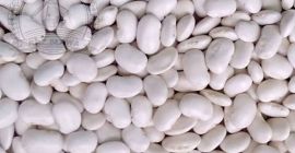 Sprzedam fasolę jaś karłowy zbiór 2025r. Opakowania 10kg ,