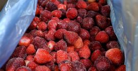 Jesteśmy firmą zajmującą się zbiorem, przetwórstwem i sprzedażą owoców