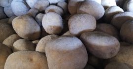 Ziemniaki odmiany Agata, uprawiane na równinie Fucino. Opakowanie: Pojemniki