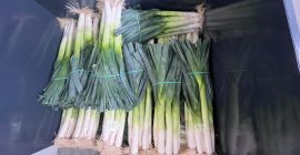 Mam do sprzedania pora, ok 500000 szt. Odm Krypton,