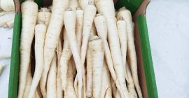 Sprzedam pietruszkę na świeży rynek. Bez rdzy