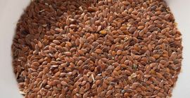 Nasiona oliwek, len brązowy, 1000 ton DAP, Brześć, Biała