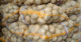 Sprzedam ziemniaki 50 + odmiany Queen Anna, Soraya, Corrina,