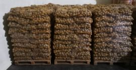 Sprzedam ziemniaki, odmiana Gala oraz queen anna bardzo smaczne,