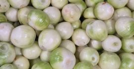 Sprzedam cebule obraną na biało, cebula zdrowa, gruby kaliber