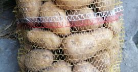 Witam sprzedam ziemniaki jadalne odmiany bellarosa, red sonia, Jurek,