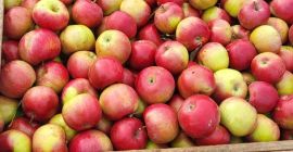 Sprzedajemy Idaret z kalibrem 65+ z Republiki Mołdawii. Dostarczamy