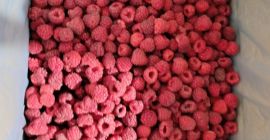 Witam, to nasza Spółdzielnia Rolnicza Fungo-vita z Serbii. Sprzedajemy