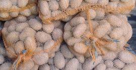 Sprzedam ziemniaki z własnego gospodarstwa. Odmiany Red Sonia, Denar