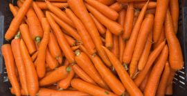 Świeża, wysokiej jakości marchew prosto od producenta! Rozmiar: -