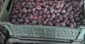 Sprzedam sliwke prezente z chłodni