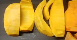 Sprzedam dynię obraną bambino i Otylia numer telefonu[telefon]