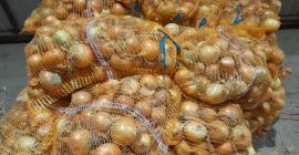 Posiadam 50-60 ton cebuli żółtej. Cebula jest składowana na