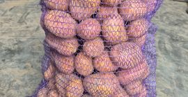 Witam. Sprzedam ziemniaki bardzo smaczne odmiany Balana (żołte) oraz