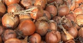 Sprzedam cebulę czerwoną i żółtą, zarówno z gruntu, jak