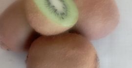 Organiczne zielone kiwi, bardzo słodkie, całkowicie wolne od pestycydów,