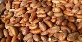 Najlepsza klasa Bitter Kola w bardzo dobrej cenie, 20