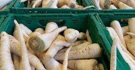 Sprzedam Pietruszke myta różne odmiany możliwość transportu tel [telefon]