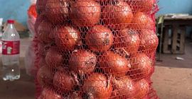 Vand ceapa specia RHINO Disponibil 150t Toate certificatele sanitare