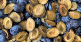 Mrożone połówki śliwek IQF do przetwórstwa przemysłowego i eksportu.